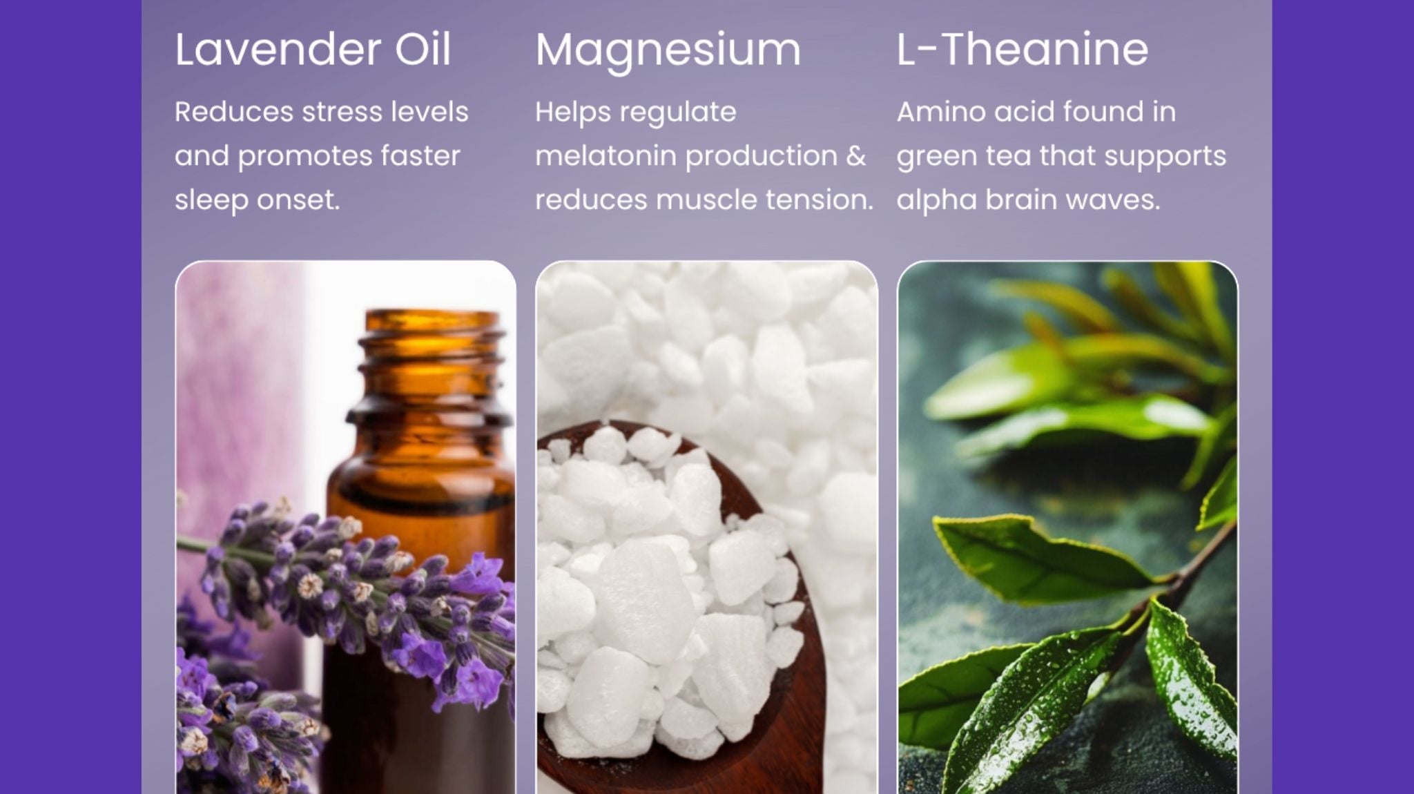 Sleep Patch 2026: 5 Key Facts and How They Work